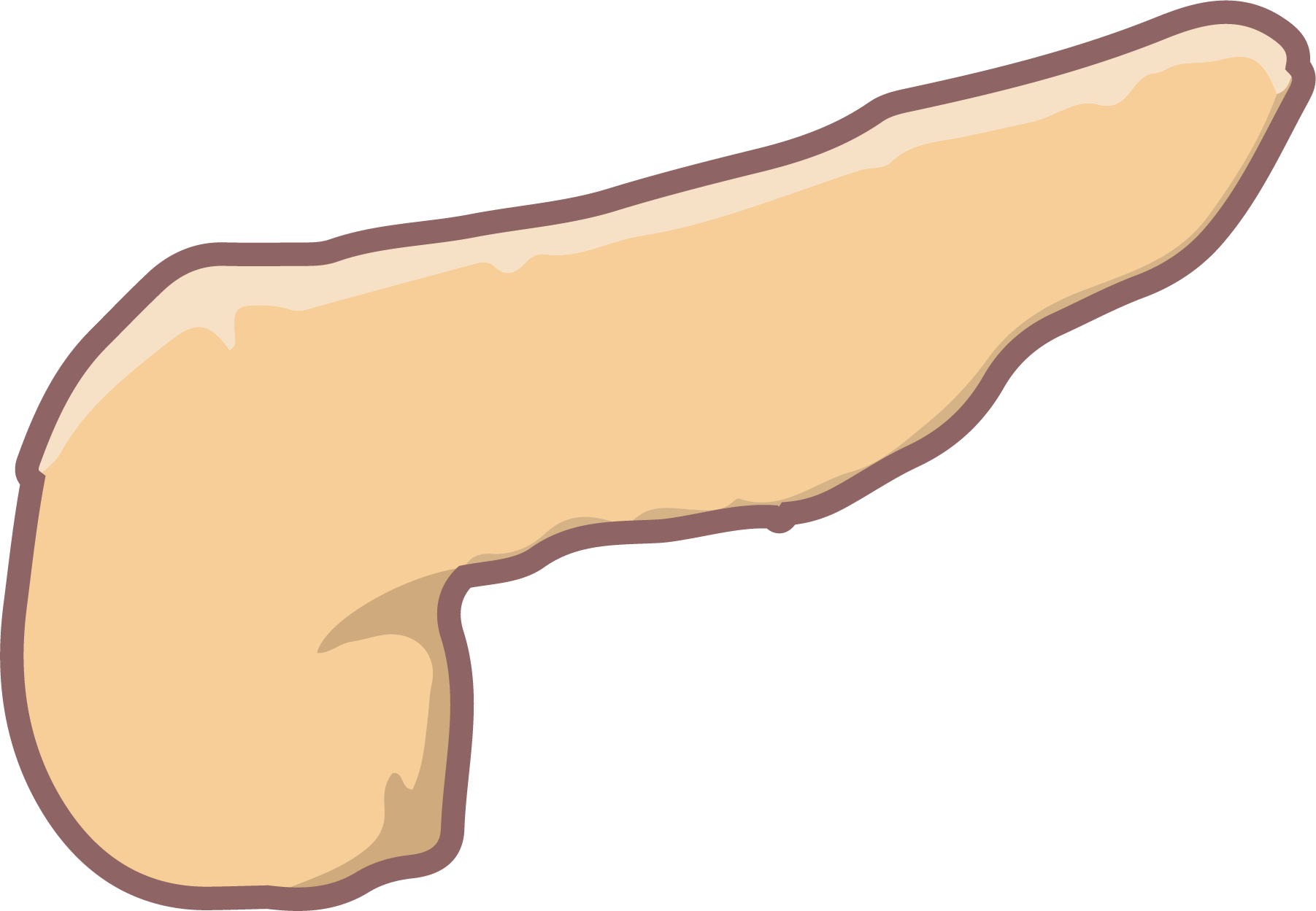 Pancreas